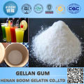 With halal and Koscher certificate gellan gum as a stabilizer use in ice cream